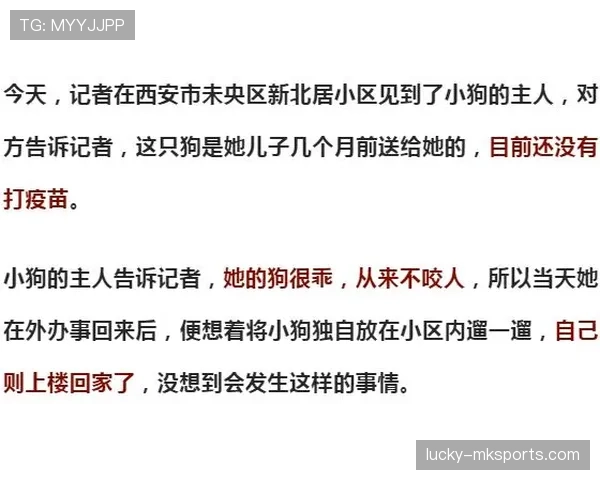 AC米兰进攻看着猛，效率却总掉链子，问题出在哪？